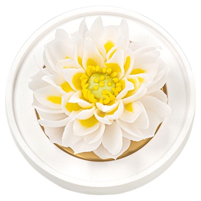 【生日礼物】花韵诗非遗瓷花