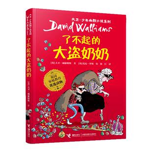 了不起的大盗奶奶 大卫·少年幽默小说系列全套任选 中小学生课外阅读书籍 6-15岁三四五六七八年级课外阅读书 青少年儿童文学经典