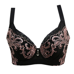 黛丽世家文胸 大胸全罩薄款舒适透气聚拢上提调整型女士内衣D6027