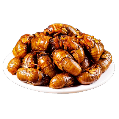 2025年新货知了猴活冻万人回购！