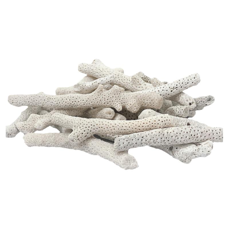 珊瑚骨滤材鱼缸过滤材料鱼池珊瑚石底砂水族箱造景沙稳定净化水质