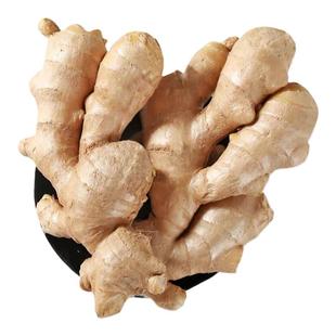 山东10斤大姜生姜老姜黄姜月子姜风干姜块新鲜食用蔬菜老姜母包邮