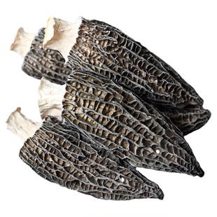 云南羊肚菌干货官方旗舰店一级正品肉厚野生菌菇干货特产煲汤食材