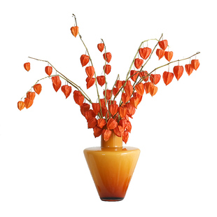 进口灯笼果酸浆果干花花束客厅摆设红果发财果天然风干高级感真花