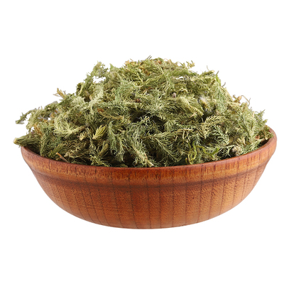 包邮 伸筋草500克 舒筋草 通筋草泡脚生筋草石松狮子草小舒筋草