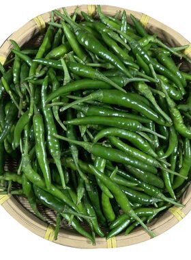 新鲜小米椒徐州特产特辣
