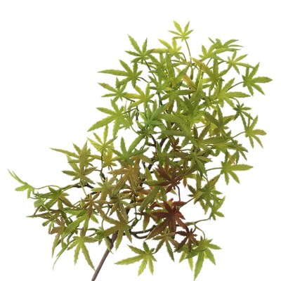 立体仿真造型树景观植物红枫叶