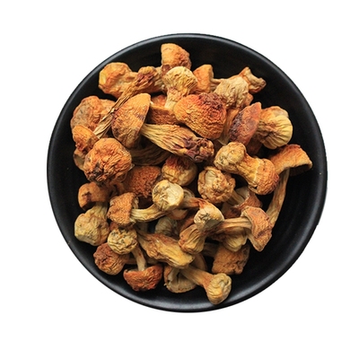 云南新货姬松茸特级500g全国包邮