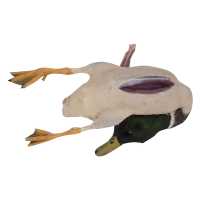 顺丰冷链洪湖飞鸭青头鸭农家散养