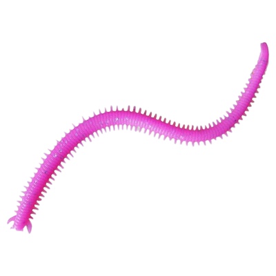 蜈蚣软饵长软虫加盐加腥