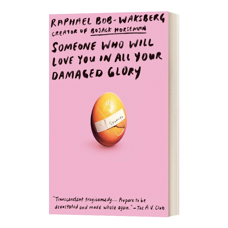 一个爱你的人 英文原版小说 Someone Who Will Love You in All Your Damaged Glory 英文版 进口英语原版书籍