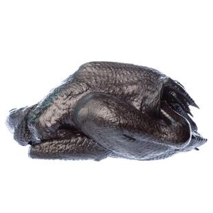 乌鸡1000g炖汤营养滋补正宗散养白毛鸡整只月子鸡鲜美低脂