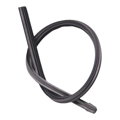 颐骐达新阳光逍客蓝鸟