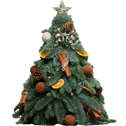 进口新鲜诺贝松圣诞树真树小型家用桌面迷你摆件圣诞节装饰品套装满150元减25元