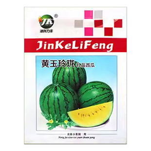 黄玉玲珑礼品西瓜种子黄金宝黄瓤西瓜薄皮早熟礼品小西瓜种籽高产