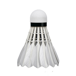 空对空羽毛球家和盛瑞鸭毛耐打羽毛室内室外训练专业比赛用球12只