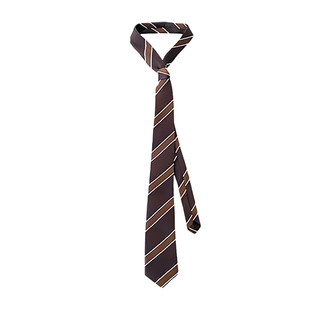 学院风条纹领带腰带女2025新款高级感领巾腰链辣妹腰饰配饰丝巾