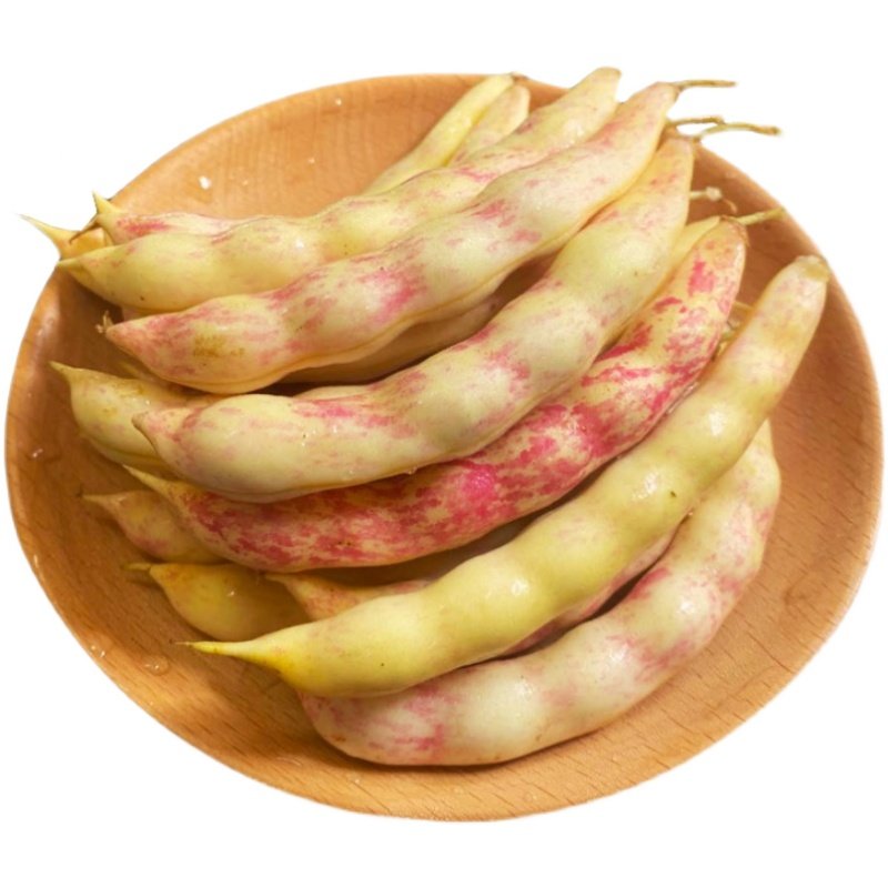 东北勾勾豆角黄金开锅青菜现摘