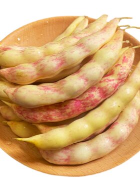 东北勾勾豆角黄金开锅青菜现摘