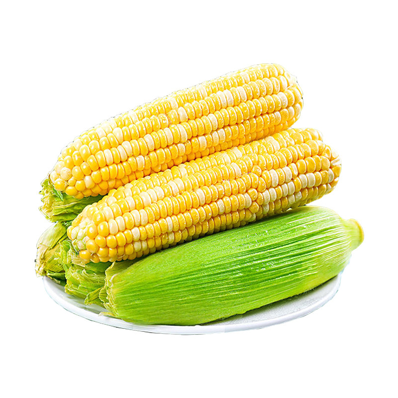 云南金银水果玉米新鲜生吃甜糯