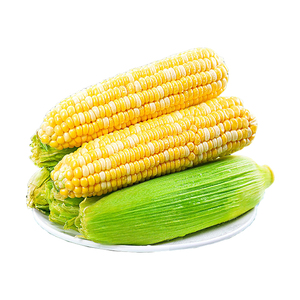 云南金银水果玉米新鲜生吃甜糯