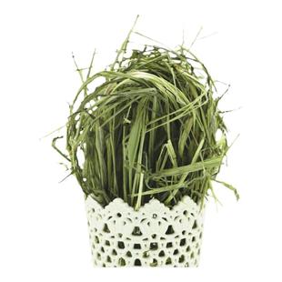 兔草提摩西草兔专用提莫干草龙猫荷兰猪草豚鼠草料兔子食用草提草