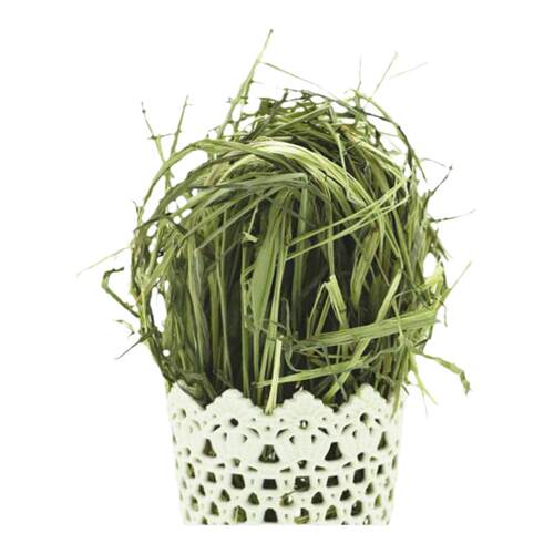26年晒干提摩西草兔子专用归乡提荷兰猪干草豚鼠草料宠物兔草提草