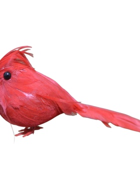 逼真拍摄道具仿真罗宾鸟亚马逊款