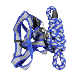 加长狗链子大型中型小型犬胸背带项圈狗狗牵引绳泰迪金毛遛狗绳子