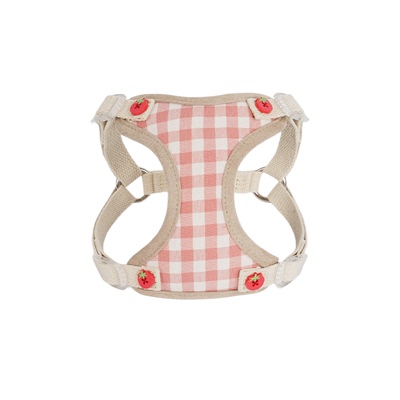 宠物牵引绳胸背外出牵引狗绳