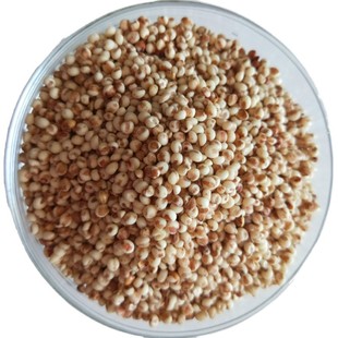 25年山东农家新去壳脱皮粘红高粱米仁粒500g去皮酿酒杂粮5斤包邮