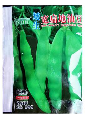 无架油豆种子矮生宽扁地油豆种籽