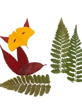 真树叶画手工粘贴画 幼儿园学生儿童diy材料干树叶天然植物标本