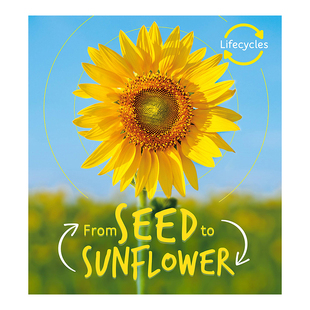 【预售】【生命周期】从种子到葵花 【Lifecycles】Seed to Sunflower英文儿童绘本 原版图书进口外版书籍 Camilla de la Bedoyer