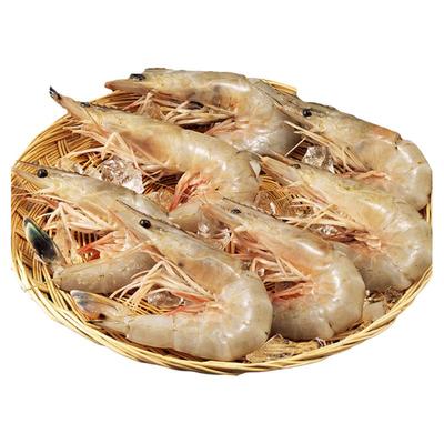 产自涠洲岛100%纯野生海捕大虾