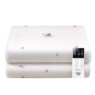 彩阳电热毯双人双控调温家用学生宿舍2025新款水循环安全水暖毯褥