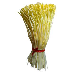 山东寿光特有宽叶韭黄根韭菜根韭菜秧现挖头茬韭菜根完全避光种植