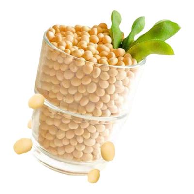 北大荒有机黑豆、纯豆浆粉无添加蔗糖植物蛋白豆浆粉组合装2袋装