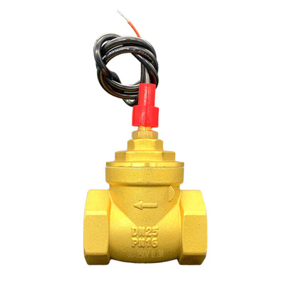 DN25 1寸水流信号流量开关感应传感器带止回阀功能挡板开关