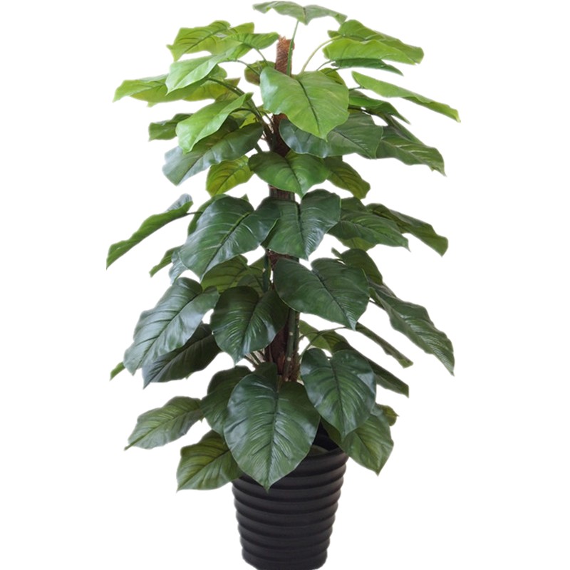 仿真植物假装饰花树单杆包棕胶叶大叶中号绿萝滴水客厅端午礼物