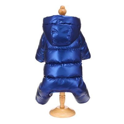 小狗狗宠物服饰柯基幼犬