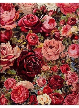 数字油画diy手绘填色花卉玫瑰花