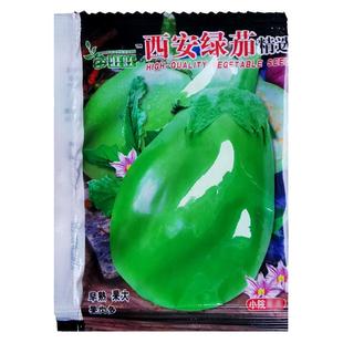 西安绿皮茄子种子春季播阳台盆栽庭院农家作物疏蔬菜春季种植籽孑