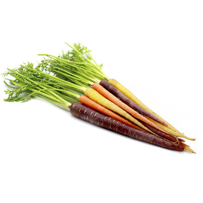 彩虹早熟四季蔬菜孑胡萝卜种子