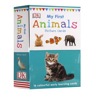 DK动物启蒙认读卡 新版无触摸英文原版 My First Animals 16张双面全彩卡片 闪示卡 认知识物 2-6岁 又日新进口童书