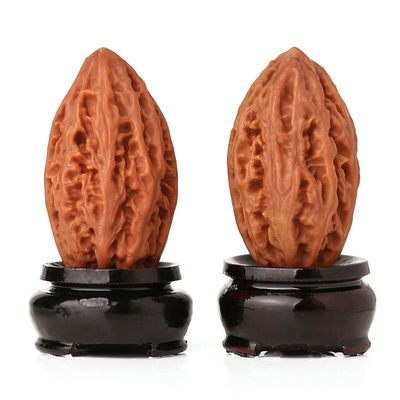 长白山东北文玩大秋子异形楸子