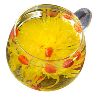 菊花茶金丝皇菊一朵一杯大黄菊花茶去火徽州皇菊胎菊贡菊花草茶叶