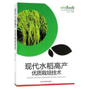 正版包邮 现代水稻高产优质栽培技术 图文本 水稻育秧技术 田间管理技术 良种选育技术 病虫害杂草防治 农业种植系列读物 书籍