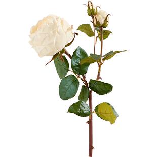 HarborHouse美式家居饰品陶瓷花瓶仿真玫瑰花组合搭配