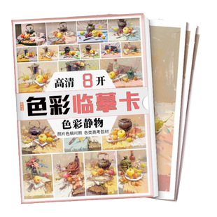 色彩临摹卡色彩静物 零基础入门文创艺术色彩手绘单体组合静物临摹卡高清精美教材教程创意8开原画手稿袋装